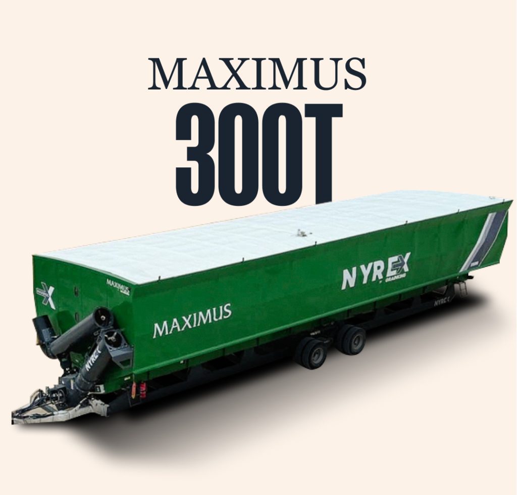 300T